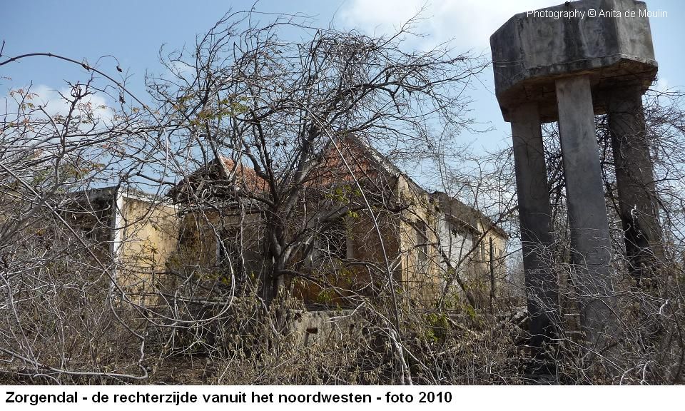 25. Zorgendal rechterzijde op het noordwesten 2010